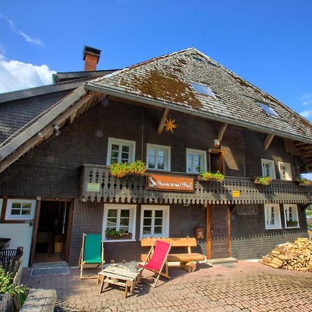 Wohlfuehl-Ferienwohnung 80 Qm, 8 Personen, Aussicht & Heimkino Todtnau Bagian luar foto
