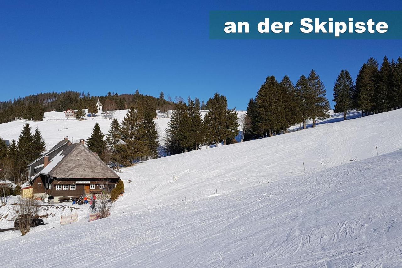 Wohlfuehl-Ferienwohnung 80 Qm, 8 Personen, Aussicht & Heimkino Todtnau Bagian luar foto