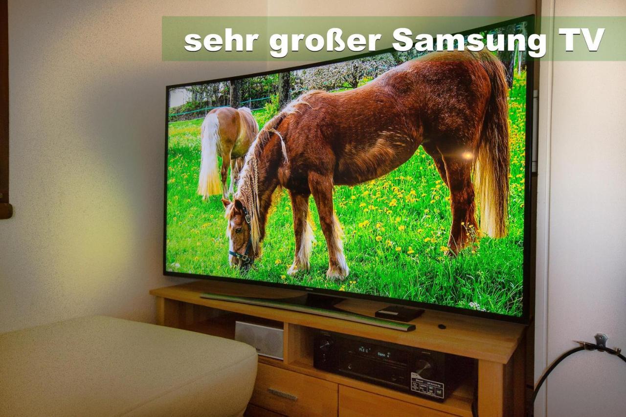 Wohlfuehl-Ferienwohnung 80 Qm, 8 Personen, Aussicht & Heimkino Todtnau Bagian luar foto