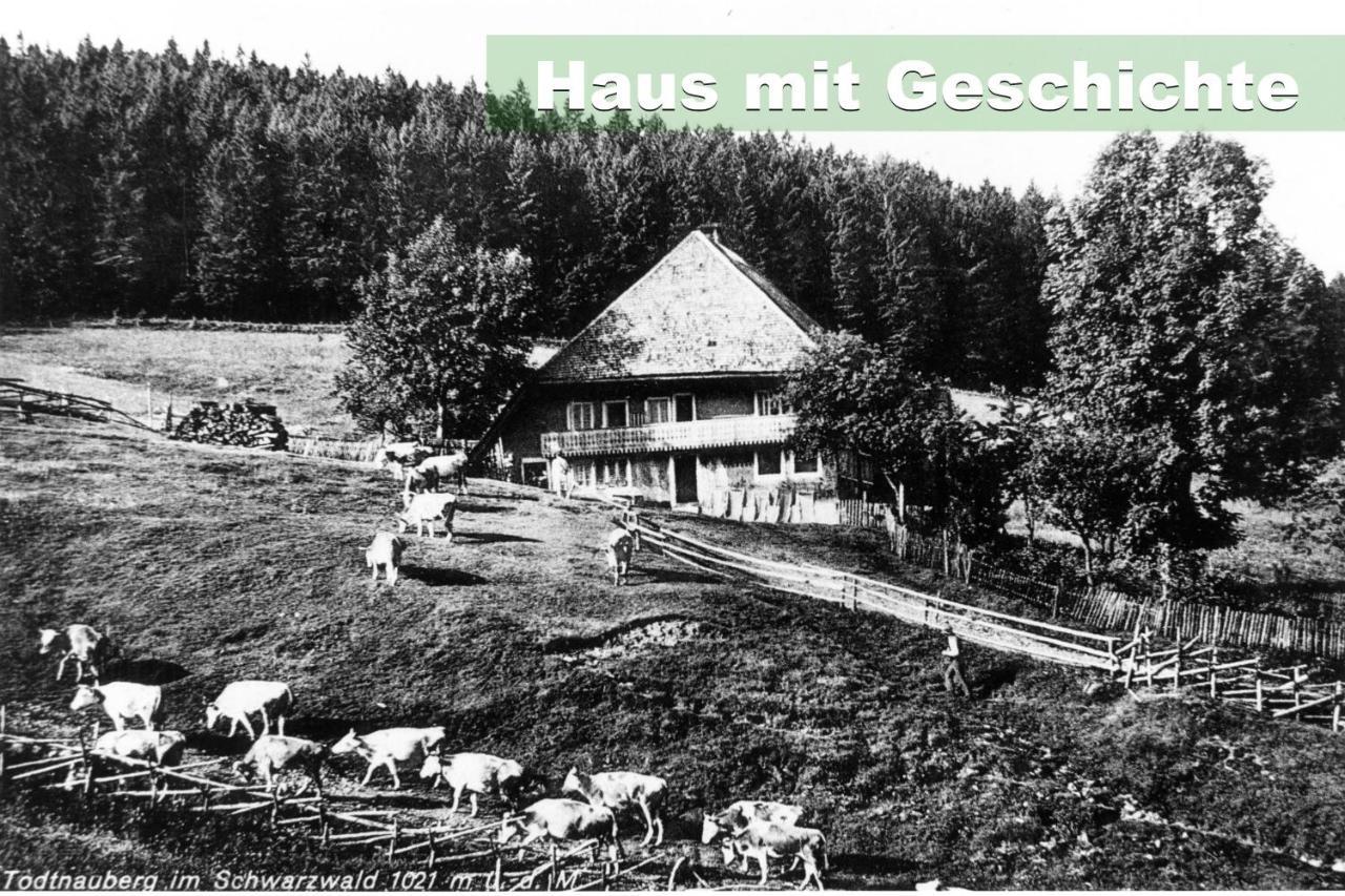 Wohlfuehl-Ferienwohnung 80 Qm, 8 Personen, Aussicht & Heimkino Todtnau Bagian luar foto